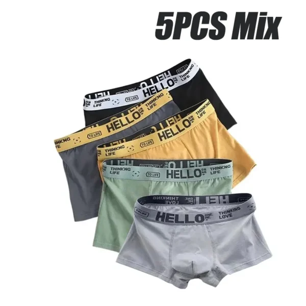 5pcs Mens Underwear Male Boxers Sexy Underpant Comfortable Breathable Fashion New Style Softness Boys Catton Panties Boxershorts - Image 6